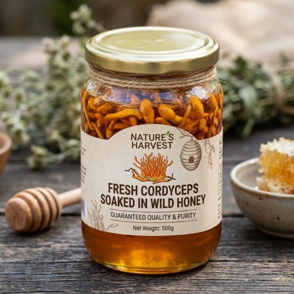 Đông trùng hạ thảo ngâm mật ong HoneyBee hũ 500gr
